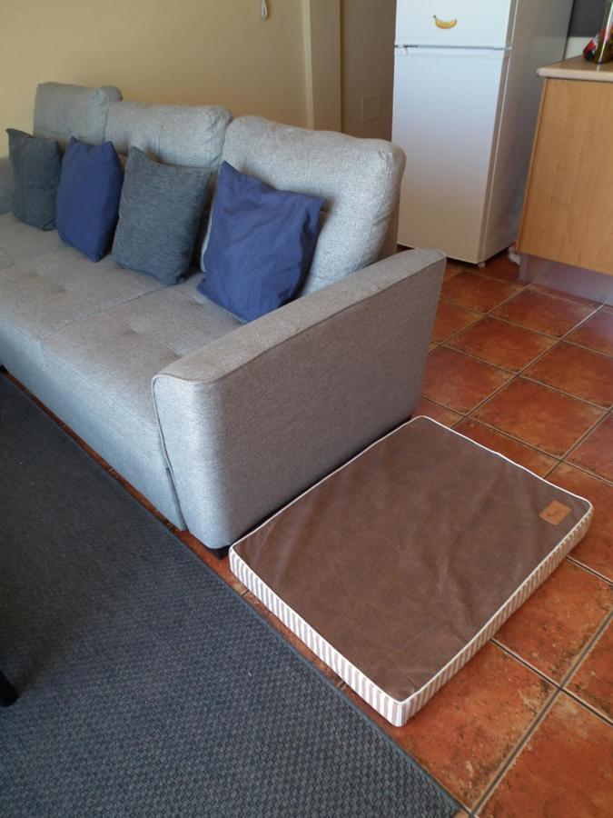 Frodo Haus Lägenhet Tazacorte Exteriör bild